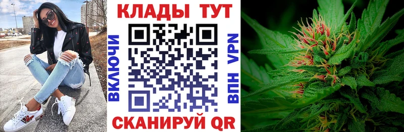 Купить закладку ГАШ  Кокаин  Меф  Галлюциногенные грибы  Конопля  СК  Вилюйск